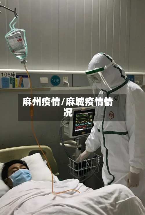 麻州疫情/麻城疫情情况