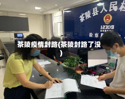 茶陵疫情封路(茶陵封路了没)