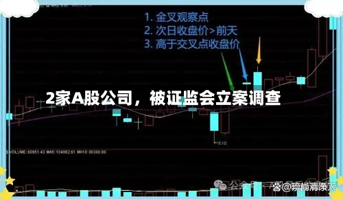 2家A股公司，被证监会立案调查