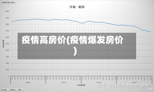 疫情高房价(疫情爆发房价)