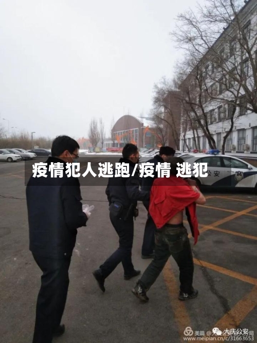 疫情犯人逃跑/疫情 逃犯