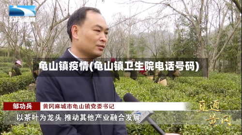 龟山镇疫情(龟山镇卫生院电话号码)