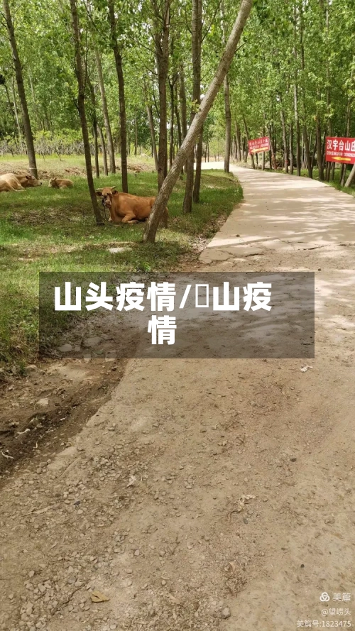 山头疫情/蔄山疫情