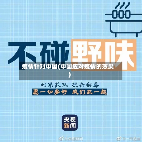 疫情针对中国(中国应对疫情的效果)