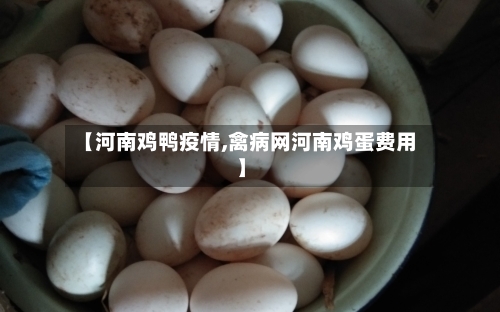 【河南鸡鸭疫情,禽病网河南鸡蛋费用】