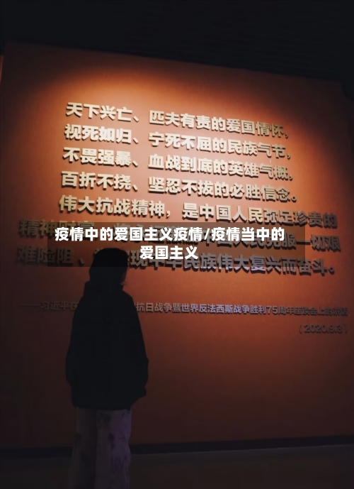 疫情中的爱国主义疫情/疫情当中的爱国主义