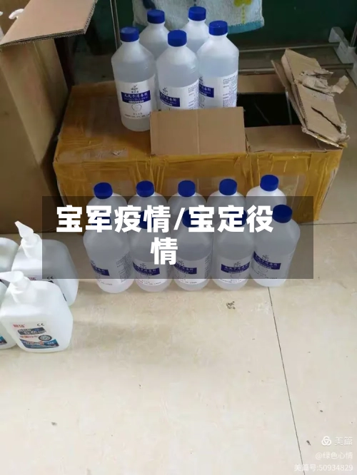 宝军疫情/宝定役情