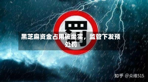 黑芝麻资金占用被坐实，监管下发预处罚