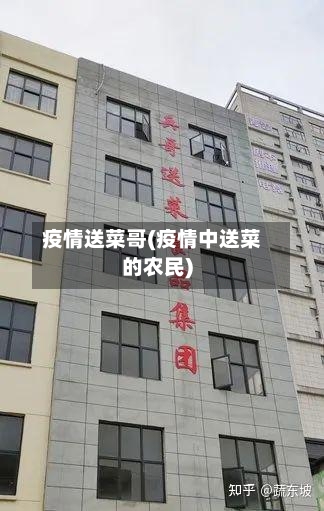 疫情送菜哥(疫情中送菜的农民)
