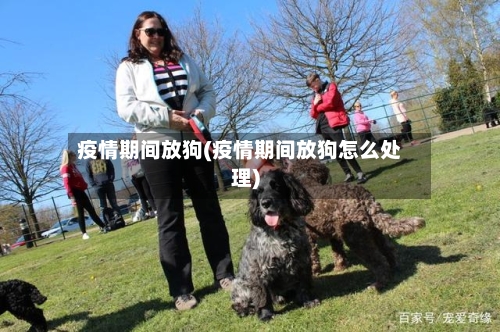 疫情期间放狗(疫情期间放狗怎么处理)