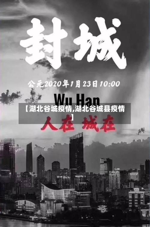 【湖北谷城疫情,湖北谷城县疫情】