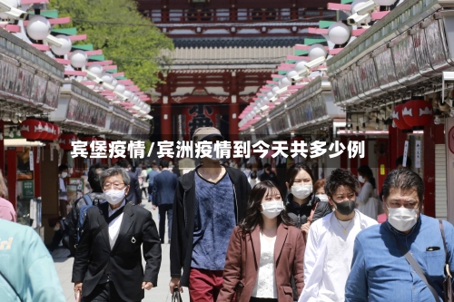 宾堡疫情/宾洲疫情到今天共多少例