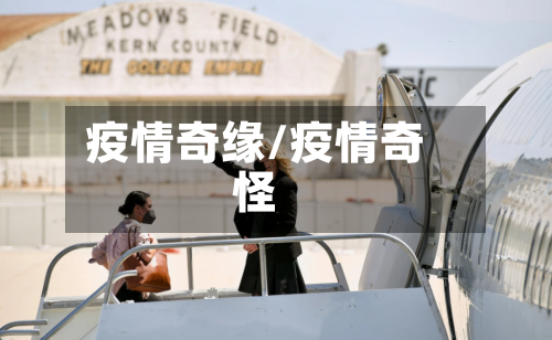疫情奇缘/疫情奇怪