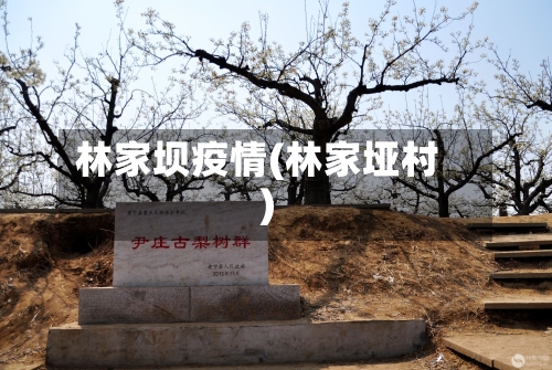 林家坝疫情(林家垭村)