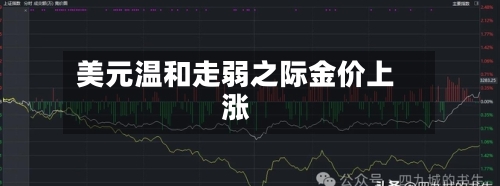 美元温和走弱之际金价上涨