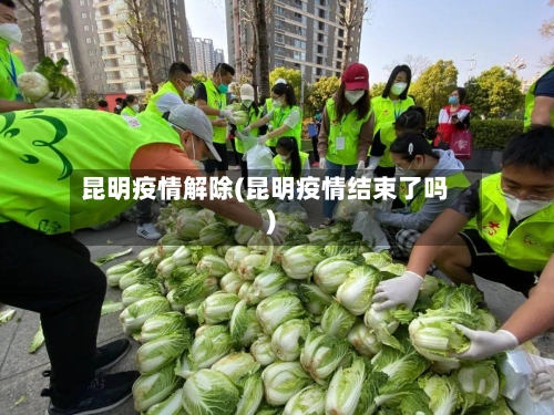 昆明疫情解除(昆明疫情结束了吗)