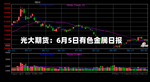 光大期货：6月5日有色金属日报