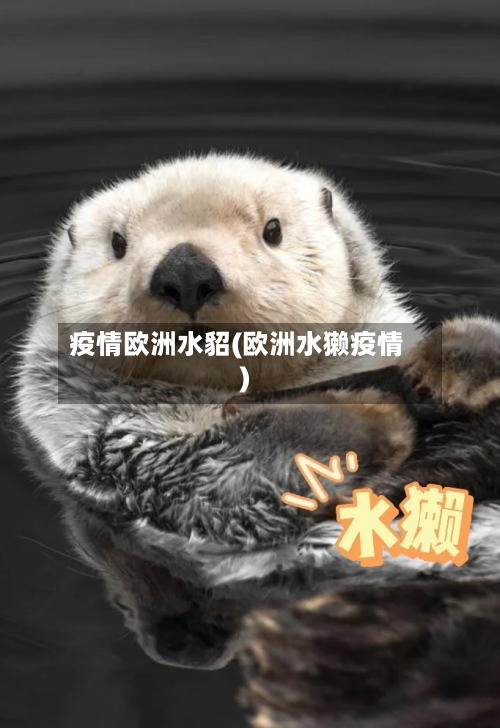 疫情欧洲水貂(欧洲水獭疫情)