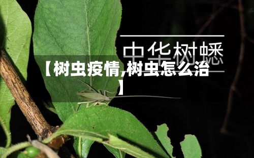 【树虫疫情,树虫怎么治】