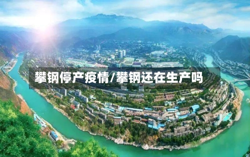 攀钢停产疫情/攀钢还在生产吗