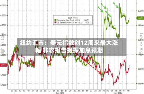 纽约汇市：美元指数创12周来最大涨幅 非农报告提振加息预期