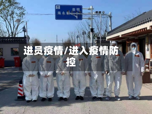 进员疫情/进入疫情防控
