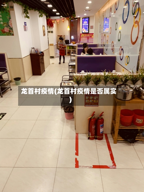 龙首村疫情(龙首村疫情是否属实)
