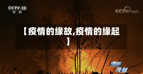 【疫情的缘故,疫情的缘起】