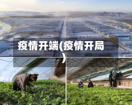 疫情开端(疫情开局)