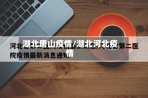 湖北唐山疫情/湖北河北疫情