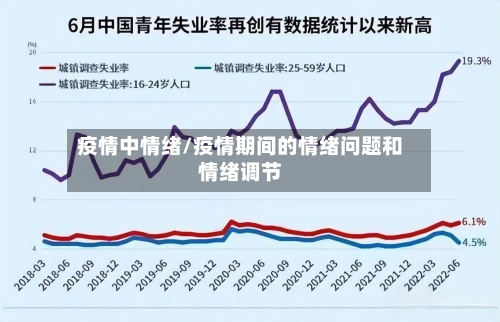 疫情中情绪/疫情期间的情绪问题和情绪调节