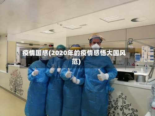 疫情国感(2020年的疫情感悟大国风范)