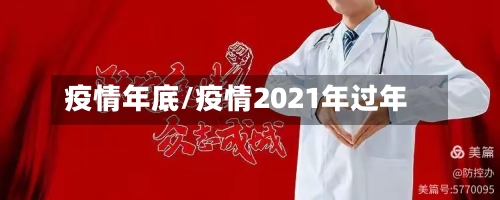 疫情年底/疫情2021年过年
