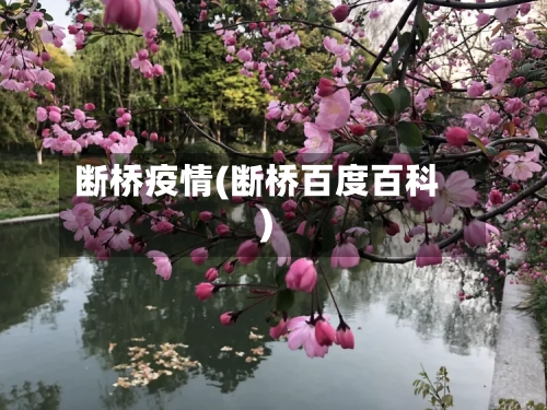 断桥疫情(断桥百度百科)