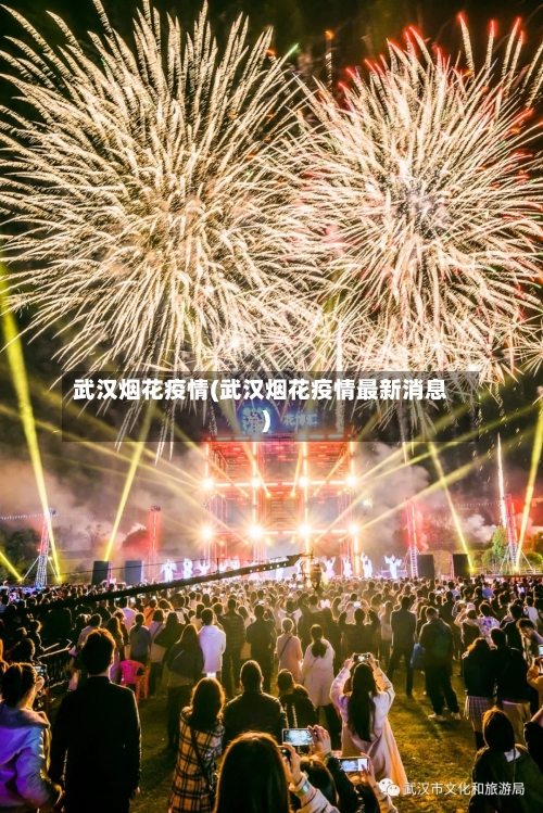 武汉烟花疫情(武汉烟花疫情最新消息)