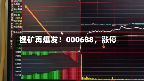 锂矿再爆发！000688，涨停
