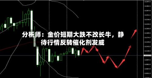 分析师:金价短期大跌不改长牛,静待行情反转催化剂发威