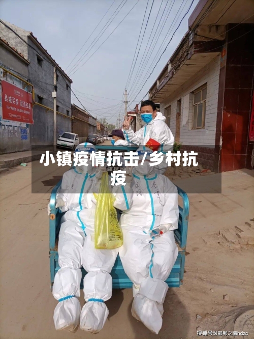 小镇疫情抗击/乡村抗疫