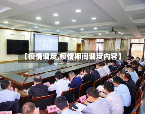 【疫情调度,疫情期间调度内容】