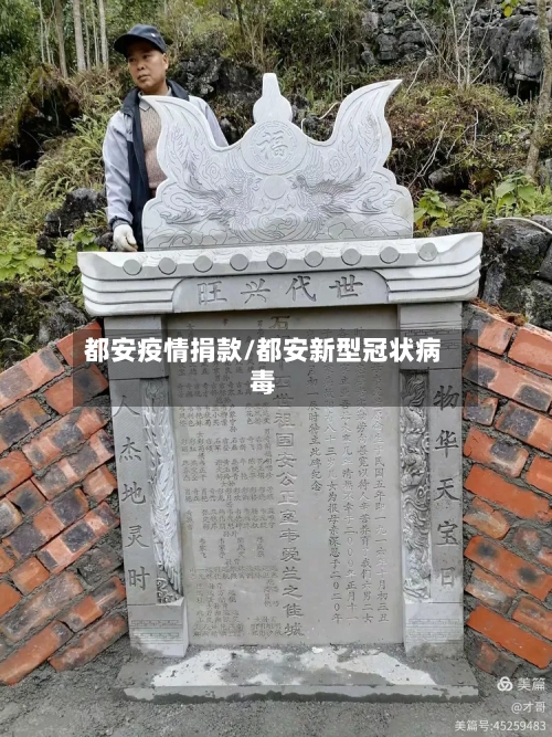 都安疫情捐款/都安新型冠状病毒