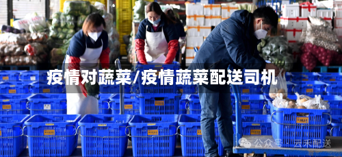 疫情对蔬菜/疫情蔬菜配送司机