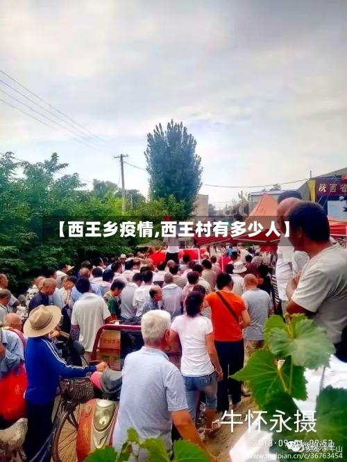 【西王乡疫情,西王村有多少人】