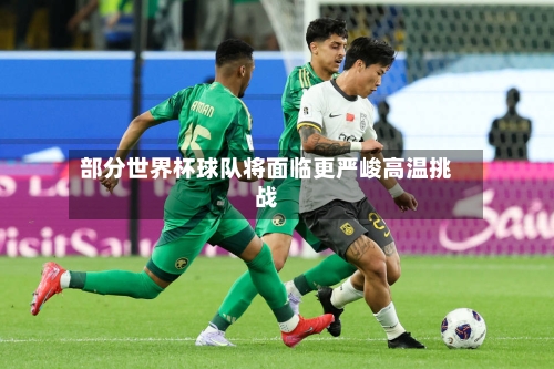 部分世界杯球队将面临更严峻高温挑战