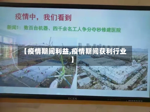 【疫情期间利益,疫情期间获利行业】
