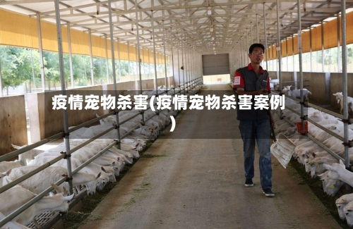 疫情宠物杀害(疫情宠物杀害案例)