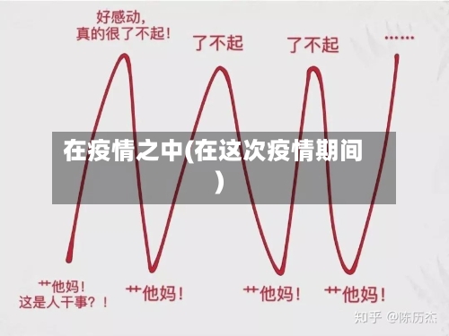在疫情之中(在这次疫情期间)