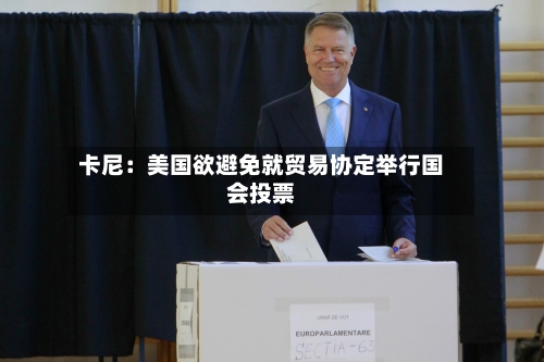 卡尼：美国欲避免就贸易协定举行国会投票