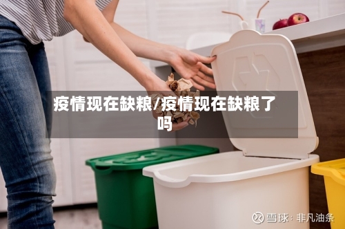 疫情现在缺粮/疫情现在缺粮了吗