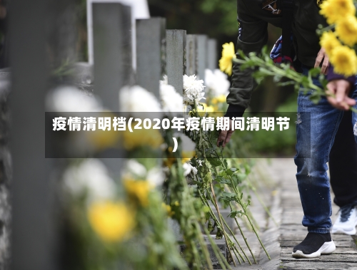 疫情清明档(2020年疫情期间清明节)