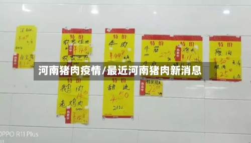 河南猪肉疫情/最近河南猪肉新消息